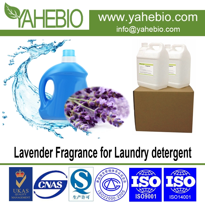 Lavendel-Duft für Waschmittel
