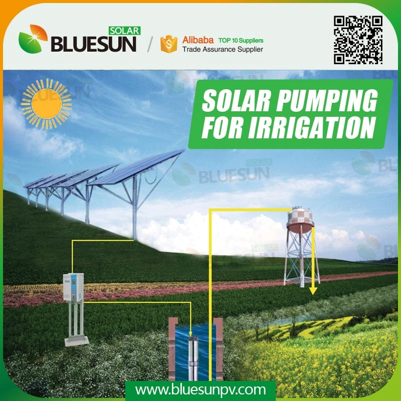 5HP Solarpumpsystem für Bewässerung