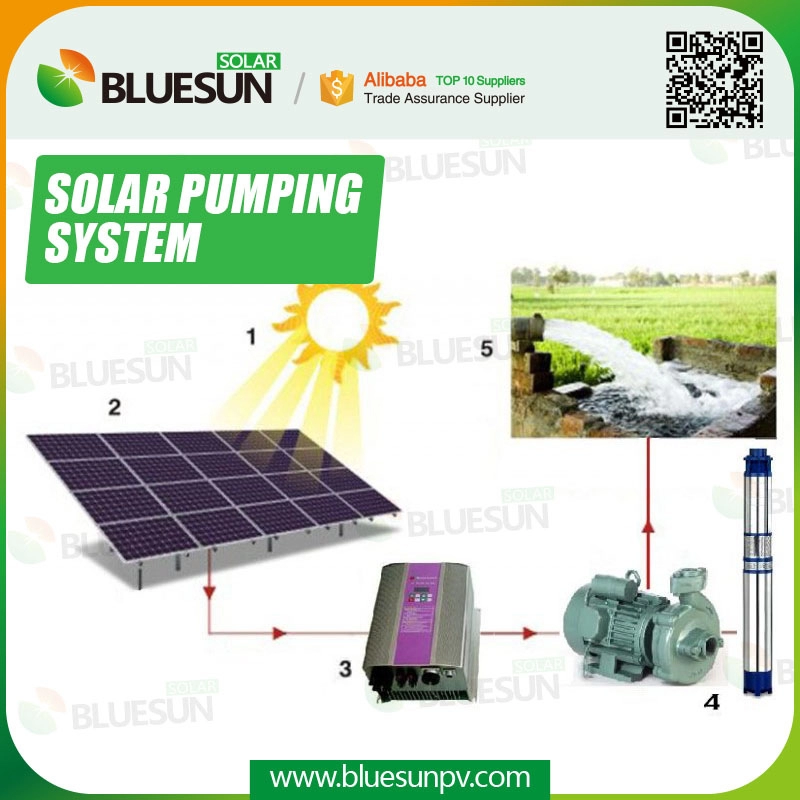 75HP Solar-landwirtschaftliches Wasser-Pumpsystem