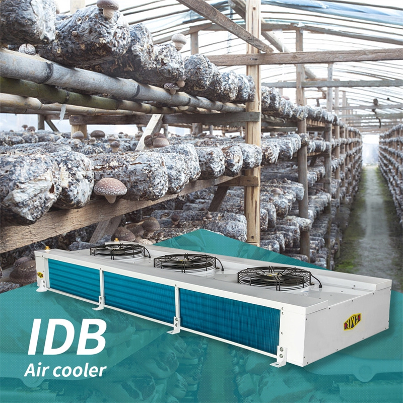 Kühlsystemverdampfer der IDB-Serie für Gemüsegewächshäuser
