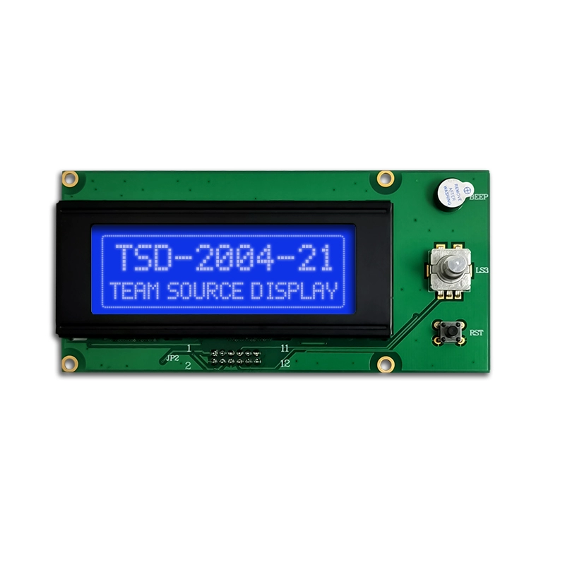 FSTN 20x4 Zeichen COB LCD-Modul mit Hintergrundbeleuchtung