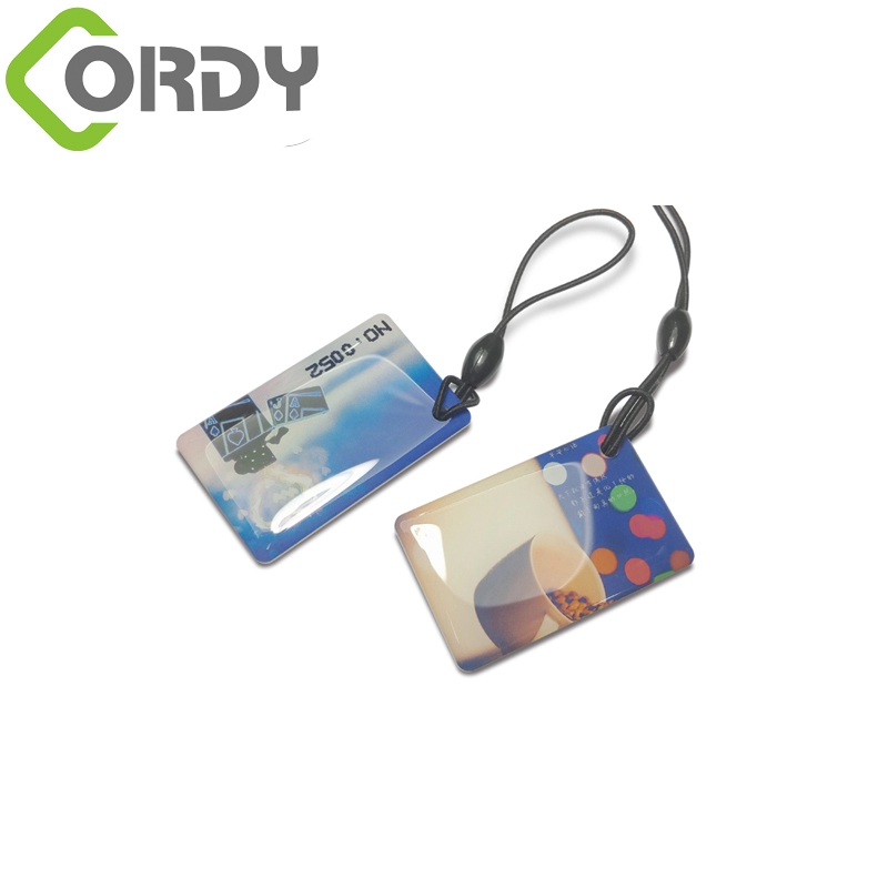 MIFARE Classic EV1 1K RFID-Epoxy-Schlüsselanhänger Epoxy-RFID-Schlüsselanhänger mit Seil