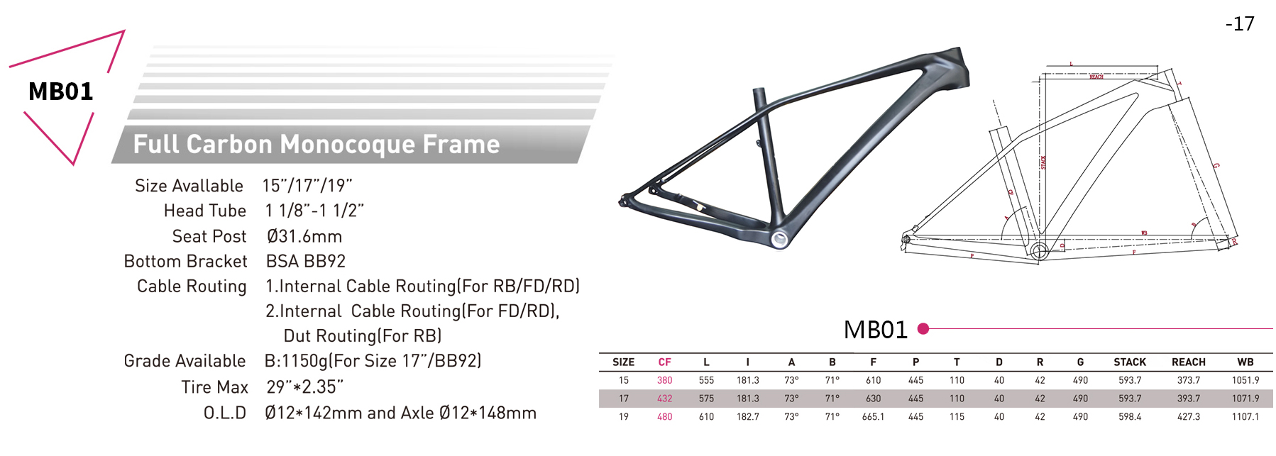 Carbon 29er Rahmen