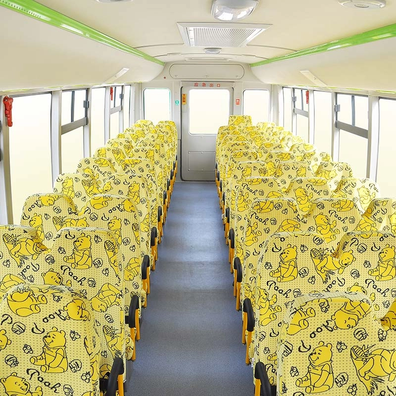 Ankai 10M 24-56 Sitzplätze Schulbus