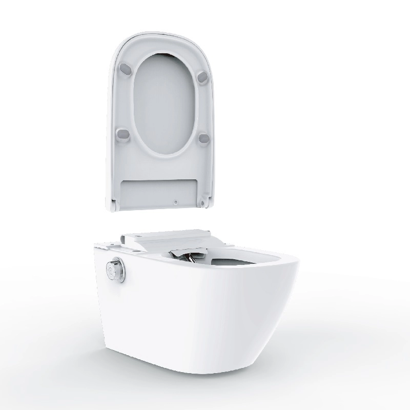 Intelligentes Dusch-WC Bidet Sitz weiß und schwarz im deutschen Stil