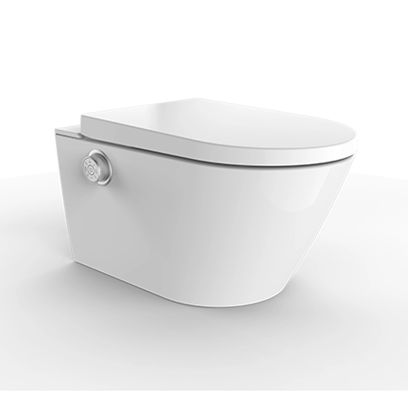 Intelligente Dusch-WC-Installation mit weißem Schrankspülkasten