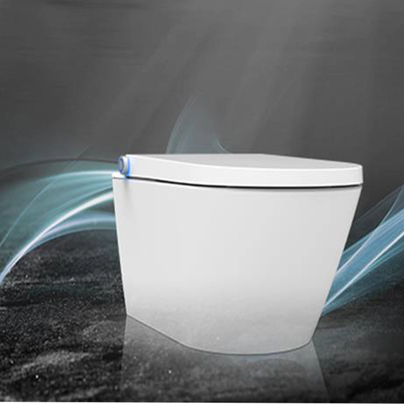 Intelligentes DUSCH WC Dusch-Bidet WC-Sitz weiß Bidet-WC-Sitz im randlosen Design