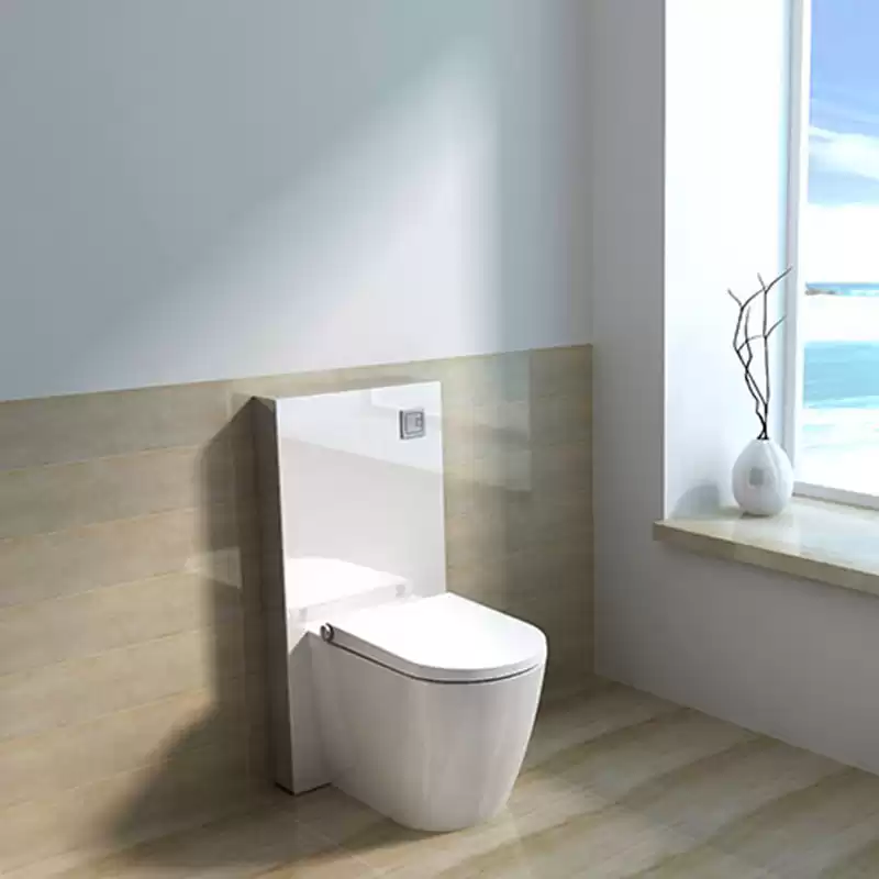 Bidet-WC-Sitz mit weißem Spülkasten