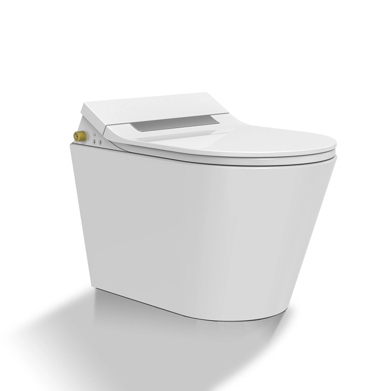 OEM-Marke Separater Dusch-WC-Aufsatz, elektronischer Bidet-Aufsatz
