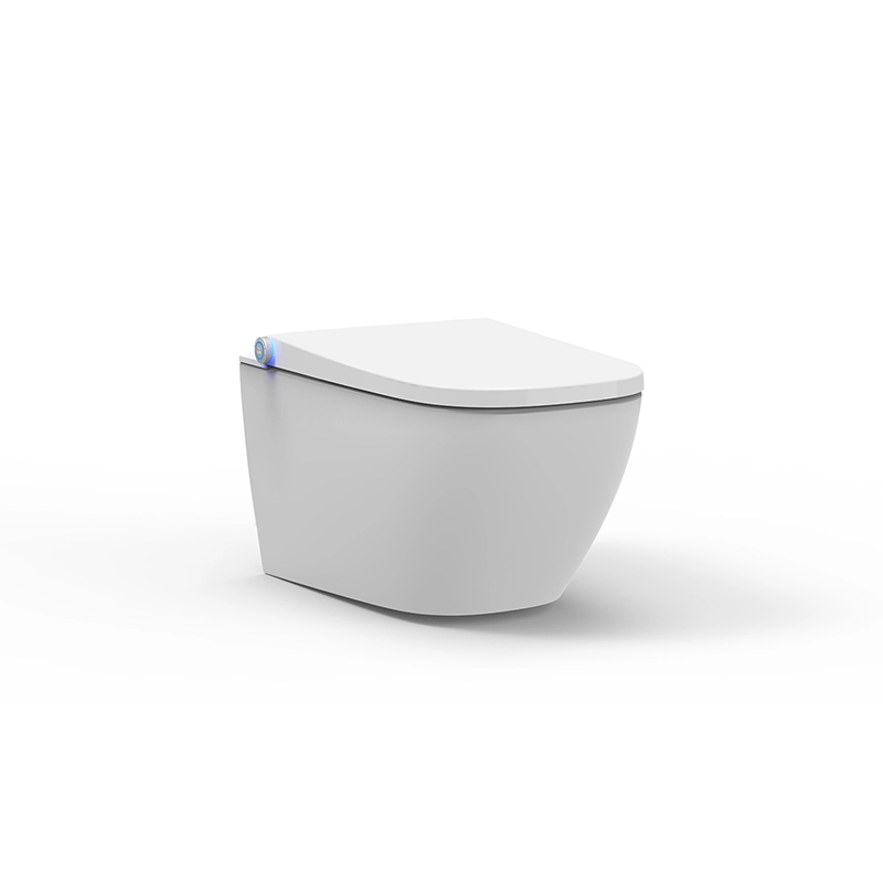 Quadratische Dusch-Toilette Intelligenter Bidet-Sitz