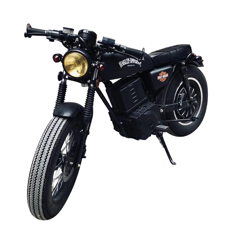 3000 W 5000 W Moto Electric 17 Zoll Motorrad E Racing Motorräder 100 km Reichweite Motorrad