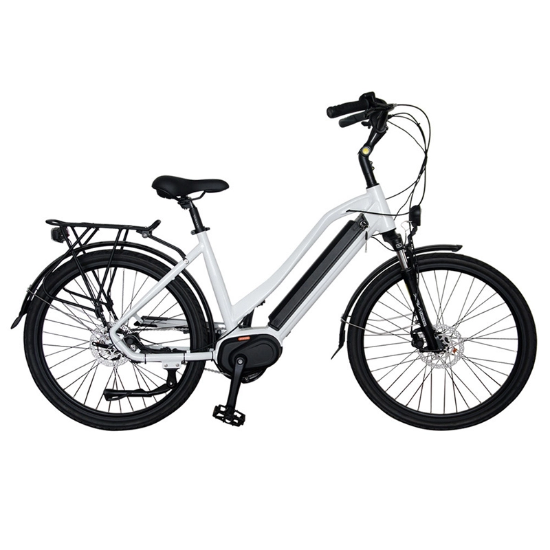 Heiße verkaufende Art und Weise 36v 350w Fahrrad elektrisch 48v mit hochwertigem bürstenlosem Nabenmotor 20-Zoll-Ebike-Fettreifen