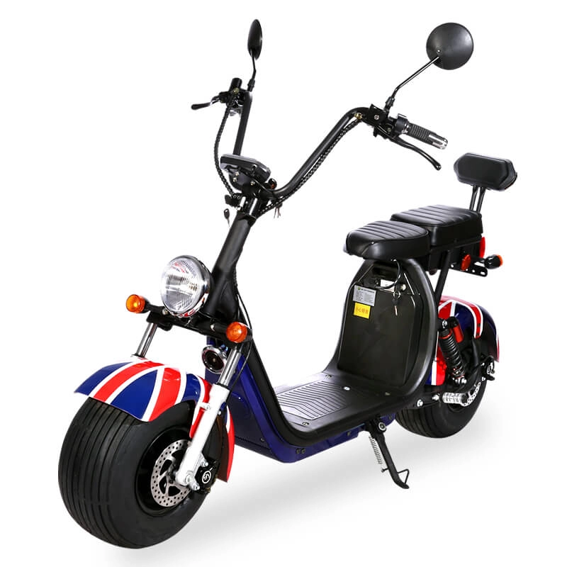 Fat Tire 1500 W Brushless Citycoco Moped Scheibenbremse 55 km/h