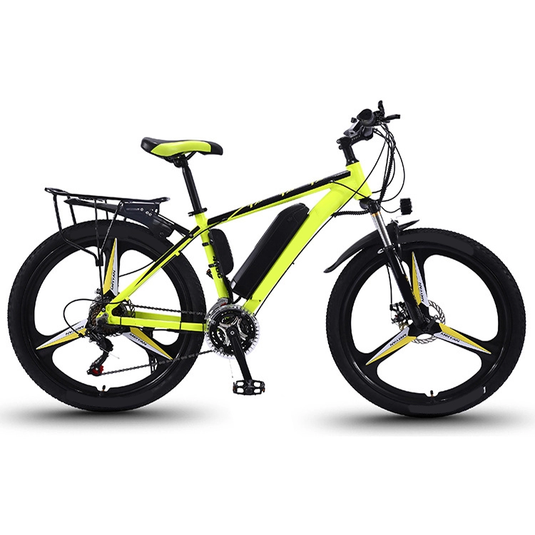6v 10ah billige Lithium-Batterie 350w Motor Electric City Bike