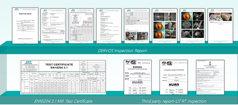 Dervos-Inspektionsberichte für Industrieventile