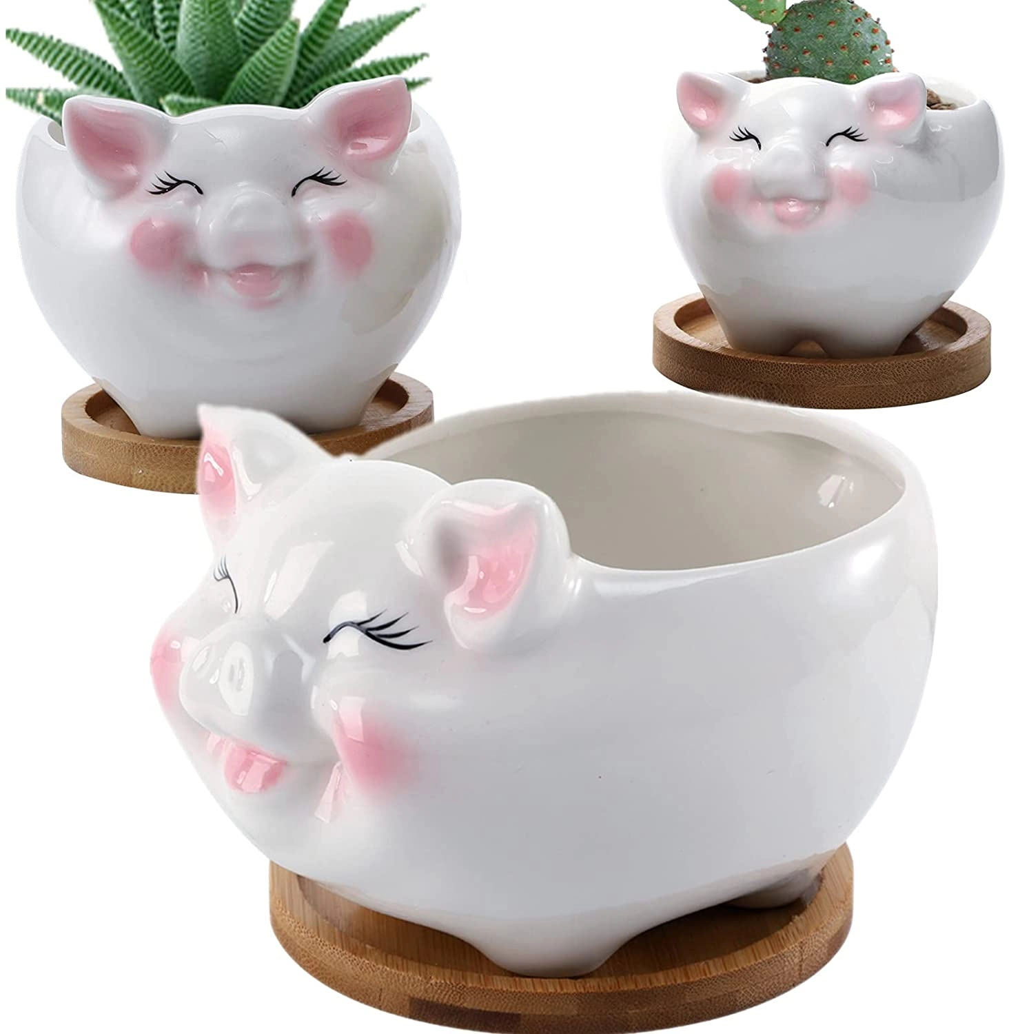 Niedlicher schweineförmiger Keramik-Sukkulentenbehälter mit Bambus-Abtropfschale