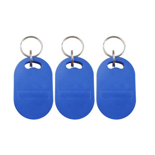 Custom Dual Frequency Rfid Chip Keyfob