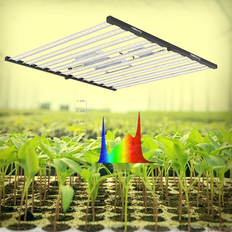 1000 W wasserdichtes LED-Wachstumslicht für Zimmerpflanzen