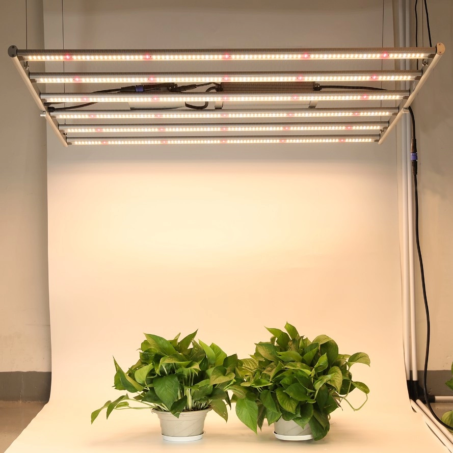 600 W faltbare Veg Flower LED Grow Lights mit externem Treiber