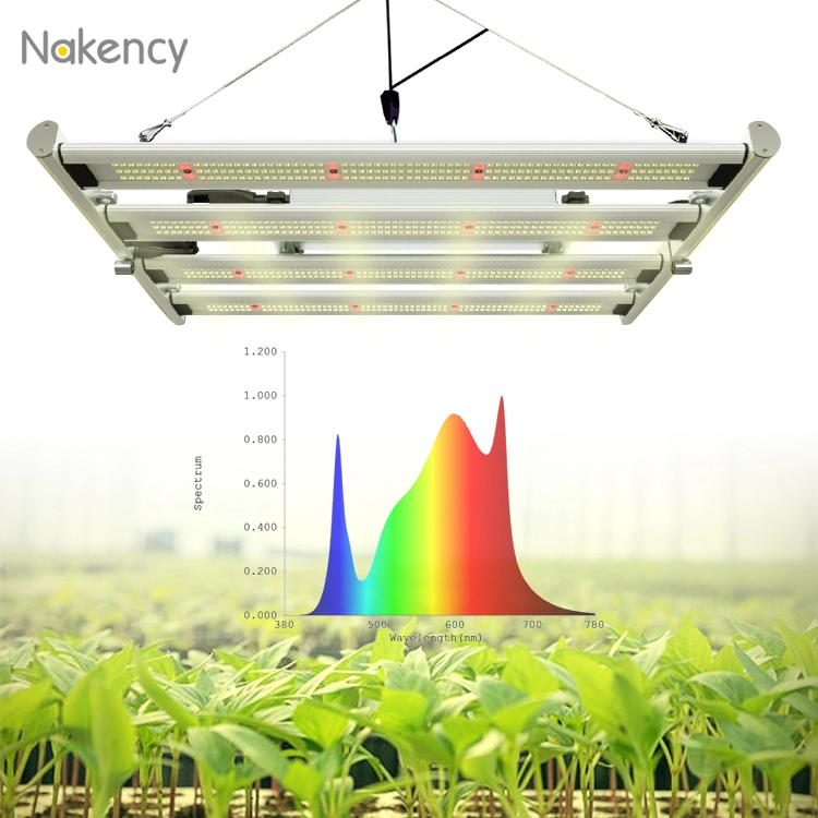 800 W faltbares Vollspektrum-LED-Wachstumslicht für Heilpflanzen