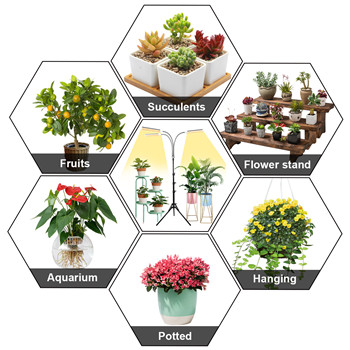Fruchtwachstums-LED-Pflanzenwachstumslampe