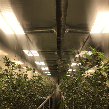Wasserdichte IP65-hocheffiziente LED-Pflanzenwachstumsleuchte für den Innenbereich