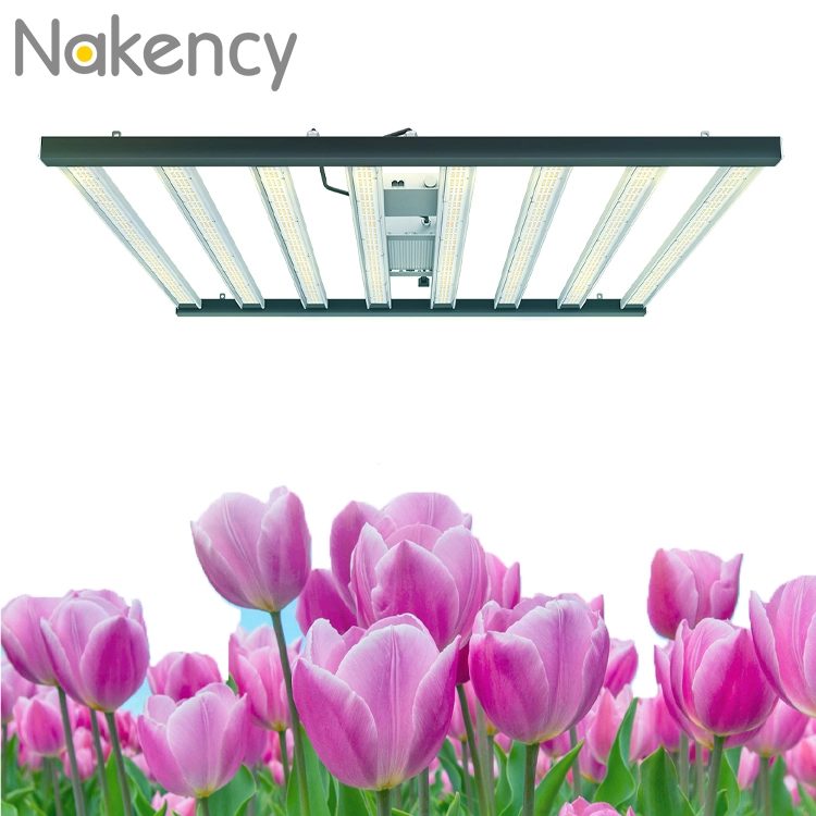 600-W-LED-Vollspektrum-Pflanzenwachstumslampe für den Gemüseanbau in Gewächshäusern