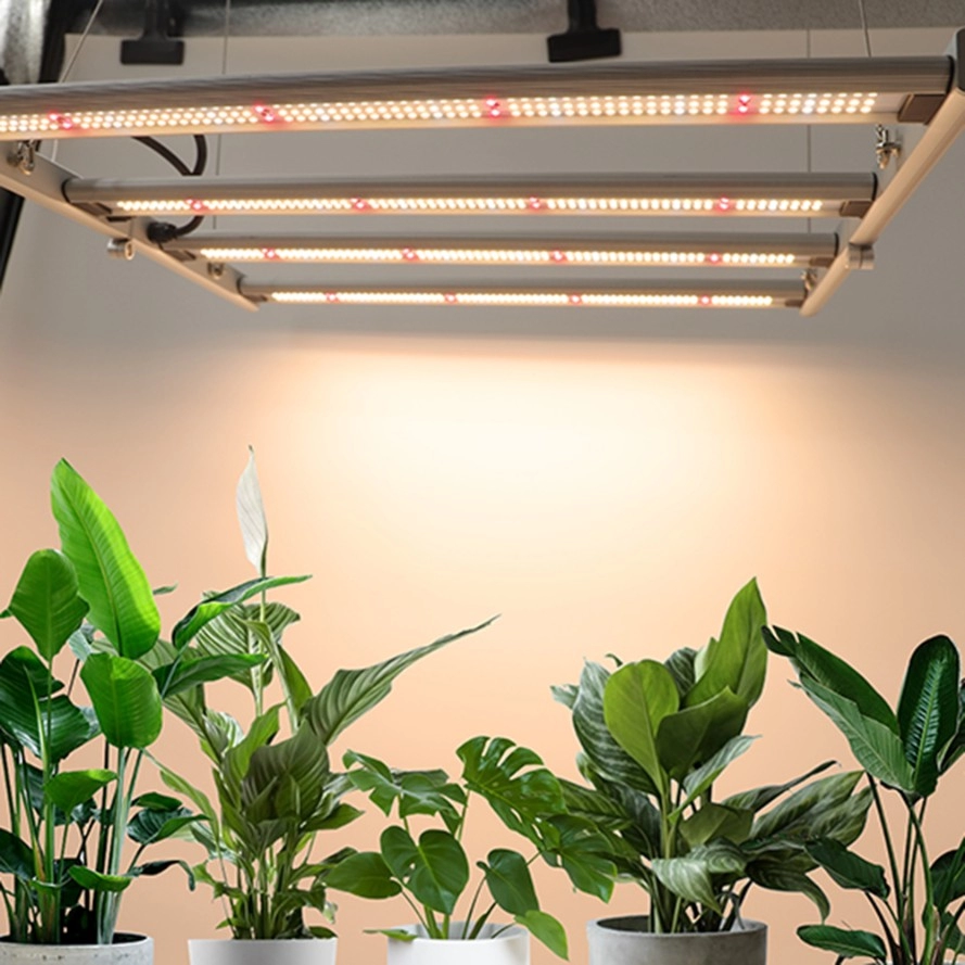 Mini-LED-Wachstumslampe für Zeltanwendungen mit 240 Watt