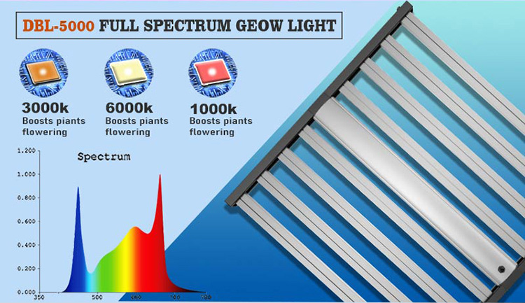 600 W Spinnen-LED-Wachstumslicht