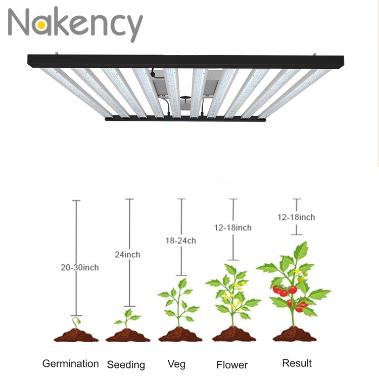 1200 W 10 abnehmbare LED-Pflanzenleuchten für Gemüsewachstum