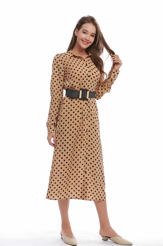 Elegantes Vintage-Kleid in A-Linie mit langen Ärmeln und Polka Dot-Kleidern mit Umlegekragen