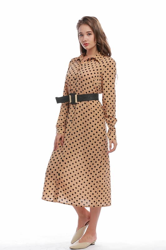 Elegantes Vintage-Kleid in A-Linie mit langen Ärmeln und Polka Dot-Kleidern mit Umlegekragen