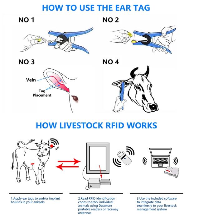 RFID-Ohrmarken für Rinder