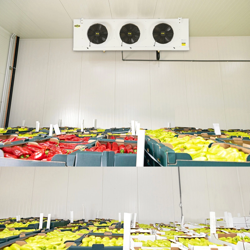 Kühllager für Gemüse, Obst, Verdampfereinheit, Kühler 9,18 kW