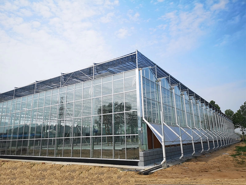 Glasgewächshaus für den Gemüseanbau