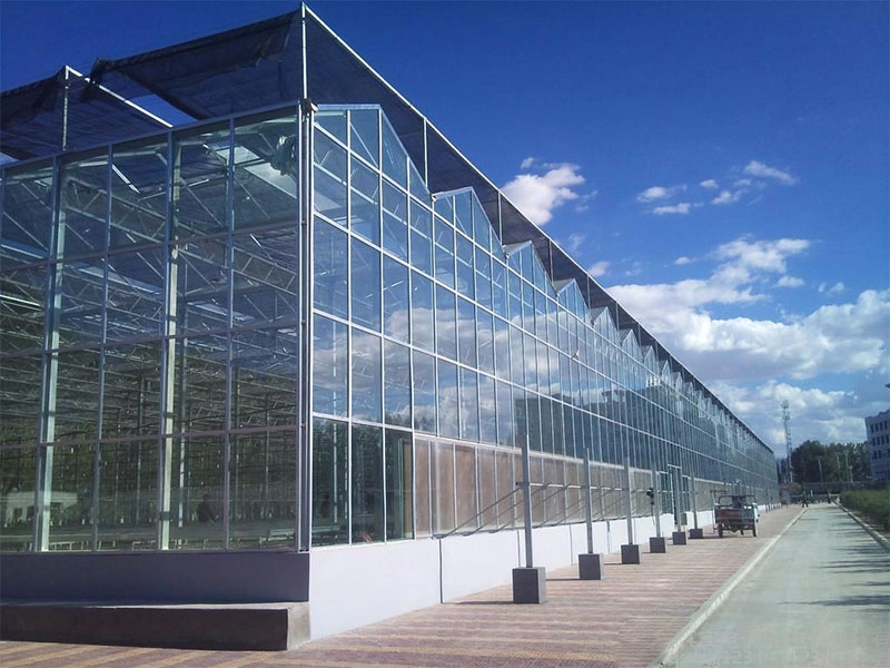 Glasgewächshaus für den Gemüseanbau