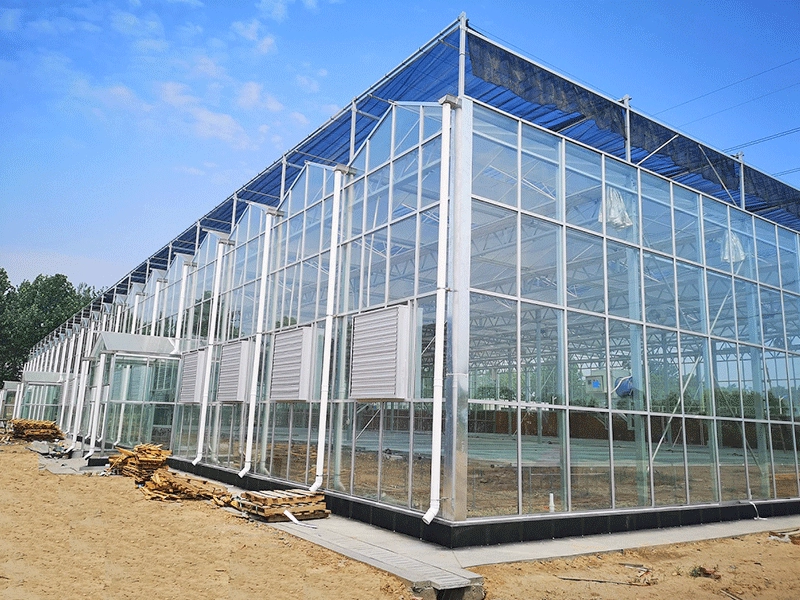 Mehrfeldrige Foliengewächshäuser für den Gemüseanbau
