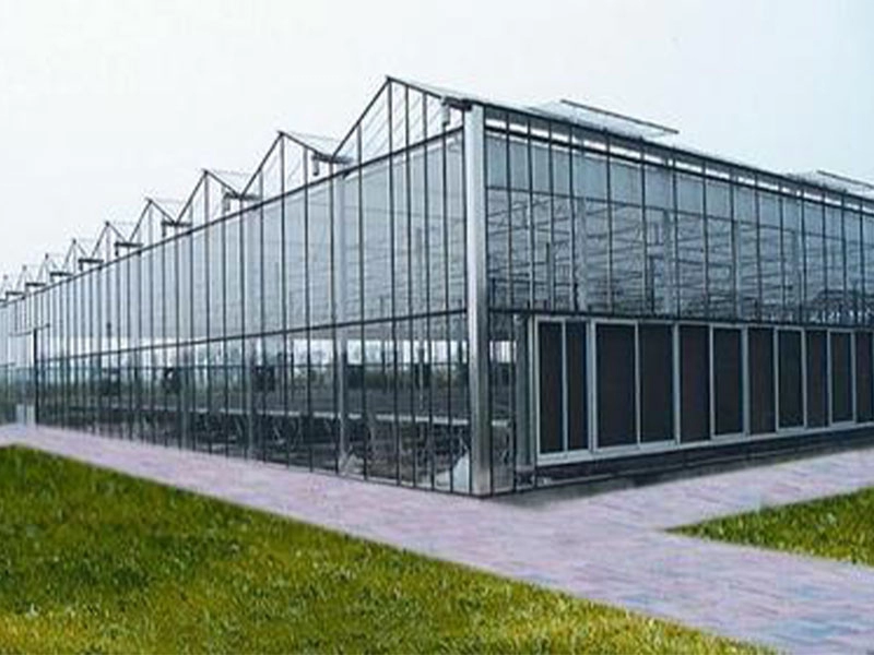 Gemüse- und Blumengewächshaus aus Glas