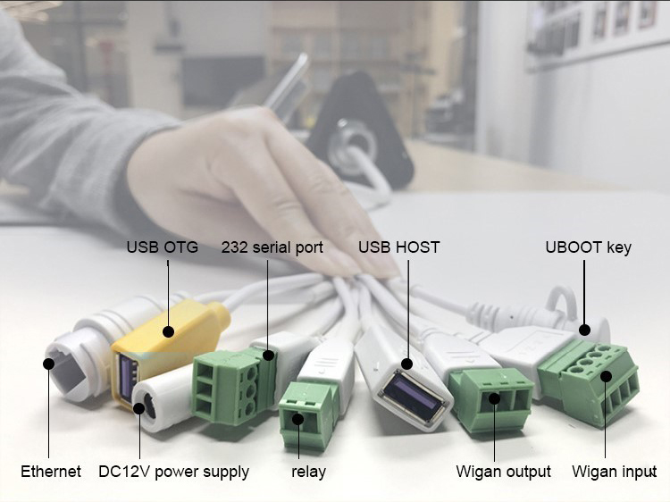 Kabel für Gesichtserkennungsgerät