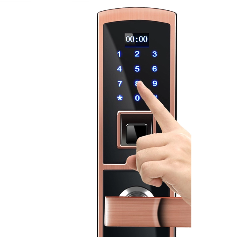Biometrisches Fingerabdruck-Türschloss