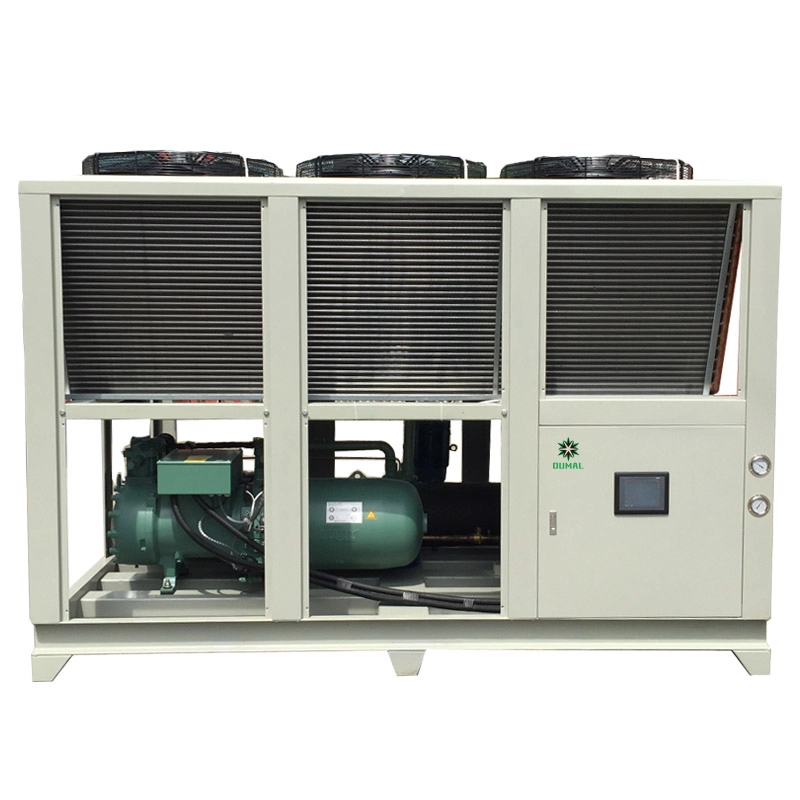 Zentralkühler, luftgekühlter Bitzer-Schraubenkompressor